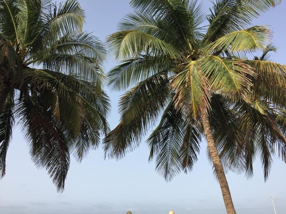 West African Beach Saly エクステリア 写真